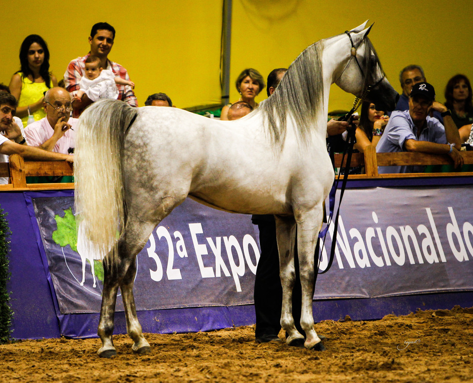 2013 Brazilian Nationals