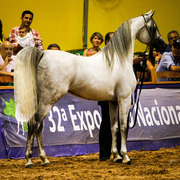 2013 Brazilian Nationals