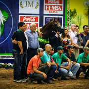 2013 Brazilian Nationals