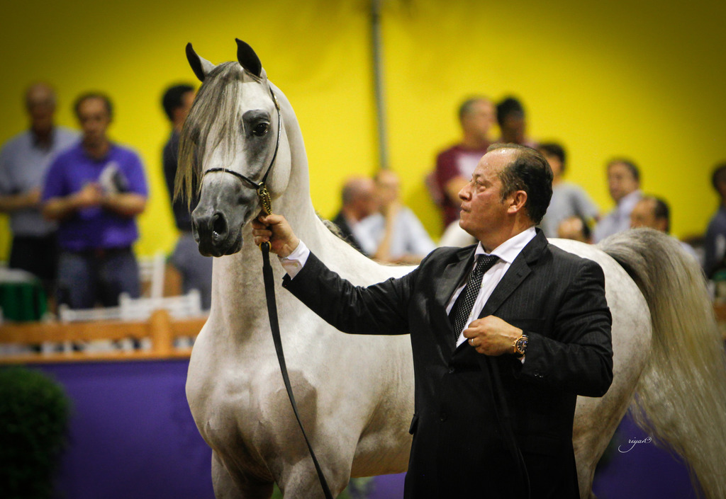 2013 Brazilian Nationals