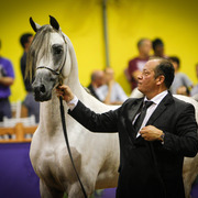 2013 Brazilian Nationals