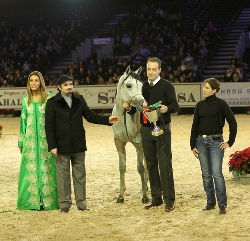 2010 Salon Du Cheval - World Championships Results