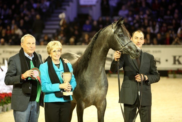 2010 Salon Du Cheval - World Championships Results