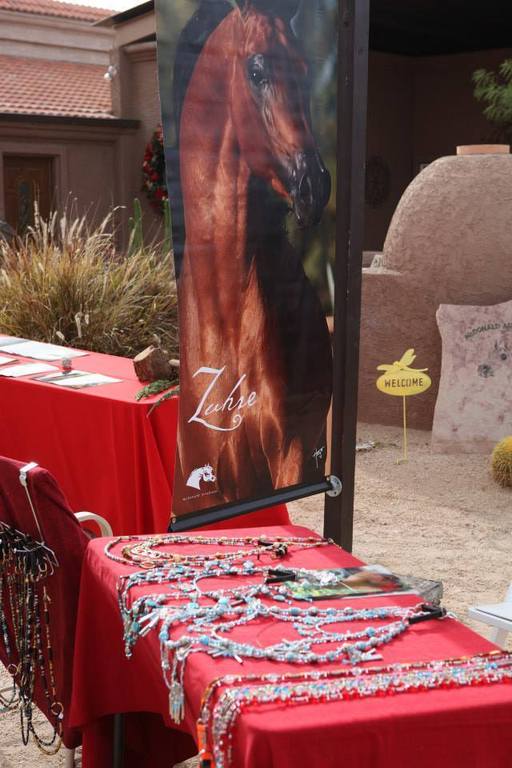 2013/2014 Arabhorse Farm Tours