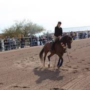 2013/2014 Arabhorse Farm Tours