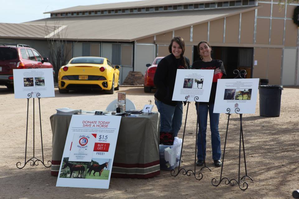 2013/2014 Arabhorse Farm Tours