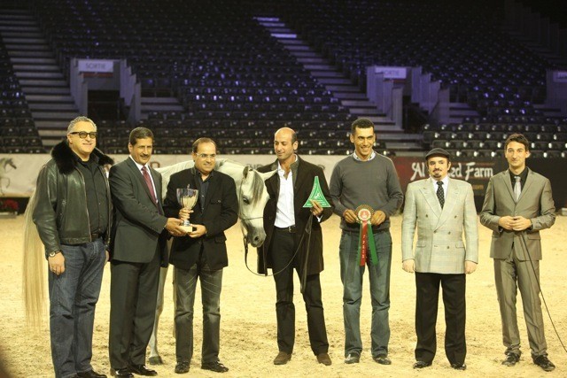 2010 Salon Du Cheval - World Championships Results