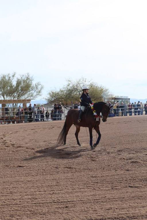 2013/2014 Arabhorse Farm Tours