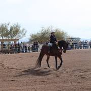 2013/2014 Arabhorse Farm Tours