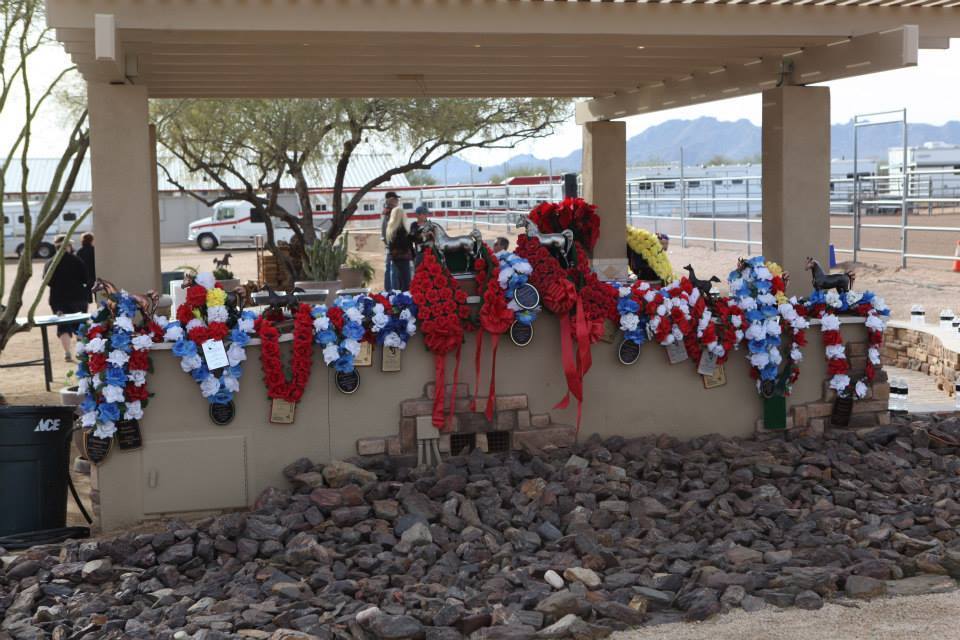 2013/2014 Arabhorse Farm Tours