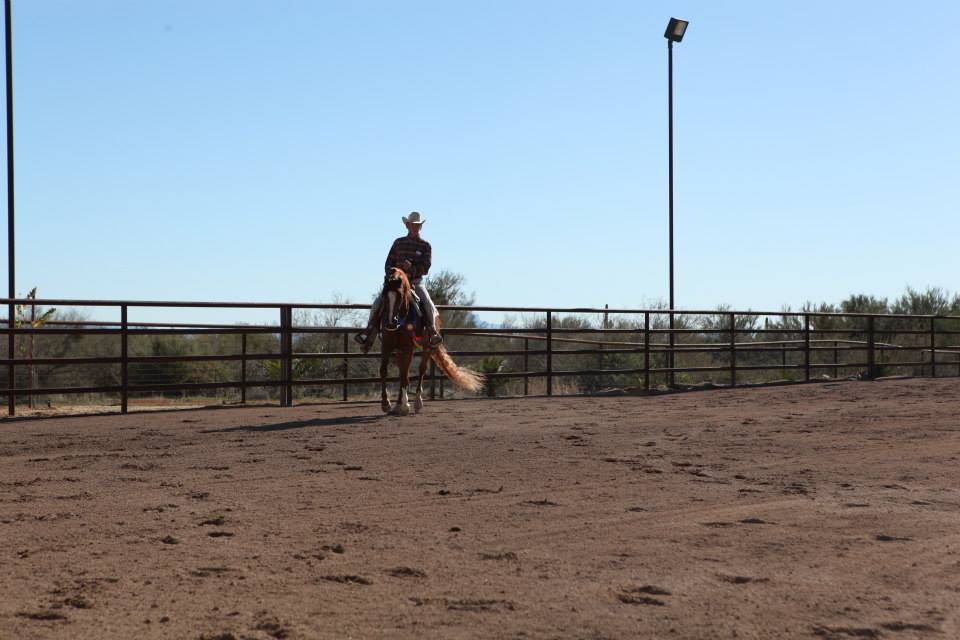 2013/2014 Arabhorse Farm Tours