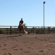2013/2014 Arabhorse Farm Tours