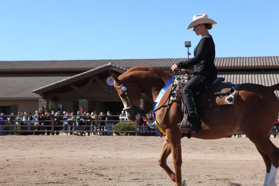 2013/2014 Arabhorse Farm Tours
