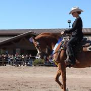 2013/2014 Arabhorse Farm Tours