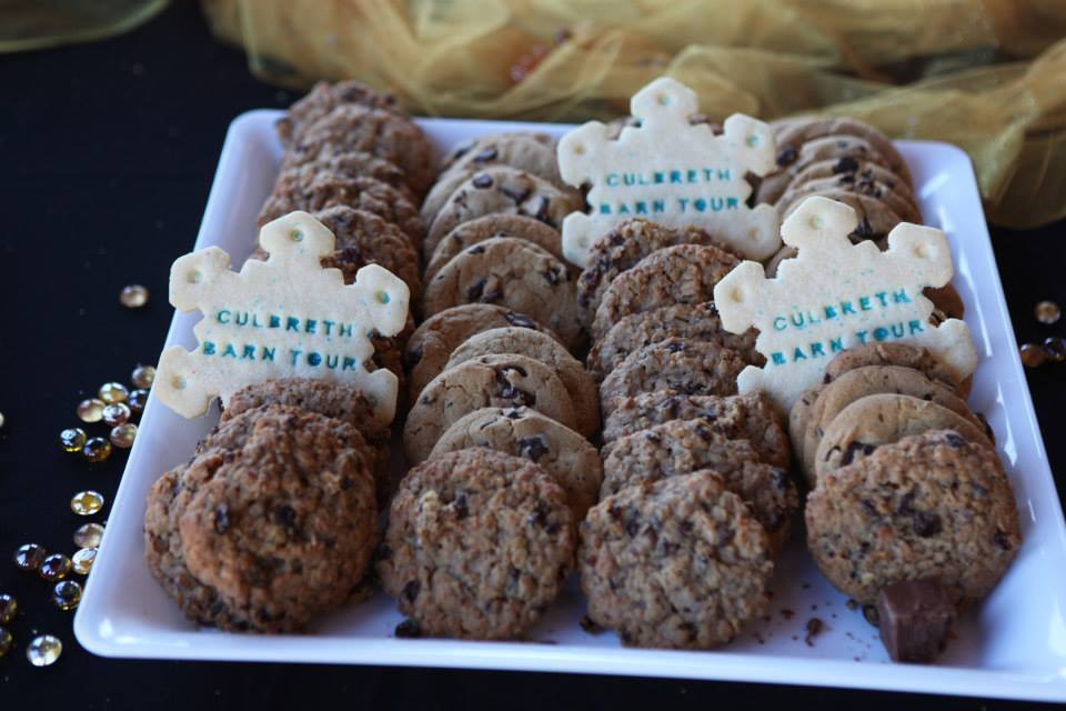 2013/2014 Arabhorse Farm Tours