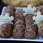 2013/2014 Arabhorse Farm Tours