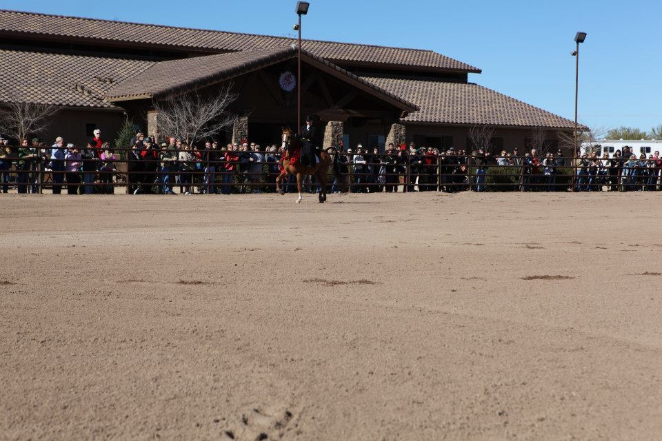 2013/2014 Arabhorse Farm Tours