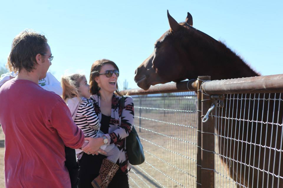 2013/2014 Arabhorse Farm Tours
