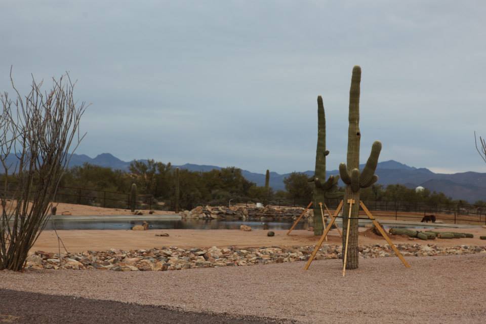 2013/2014 Arabhorse Farm Tours