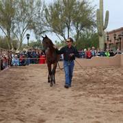 2013/2014 Arabhorse Farm Tours