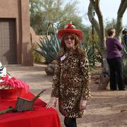 2013/2014 Arabhorse Farm Tours