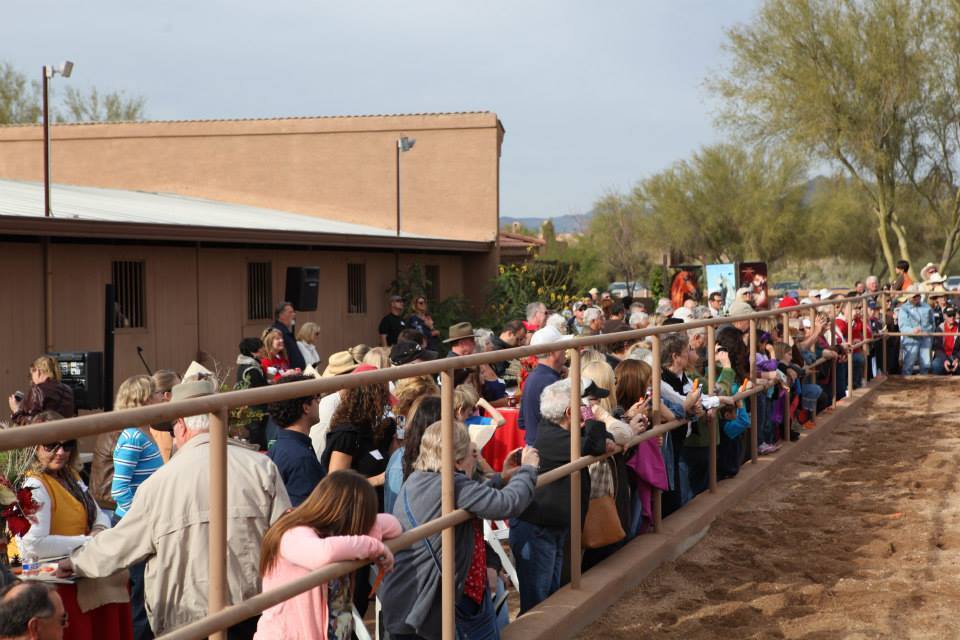 2013/2014 Arabhorse Farm Tours