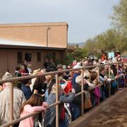 2013/2014 Arabhorse Farm Tours