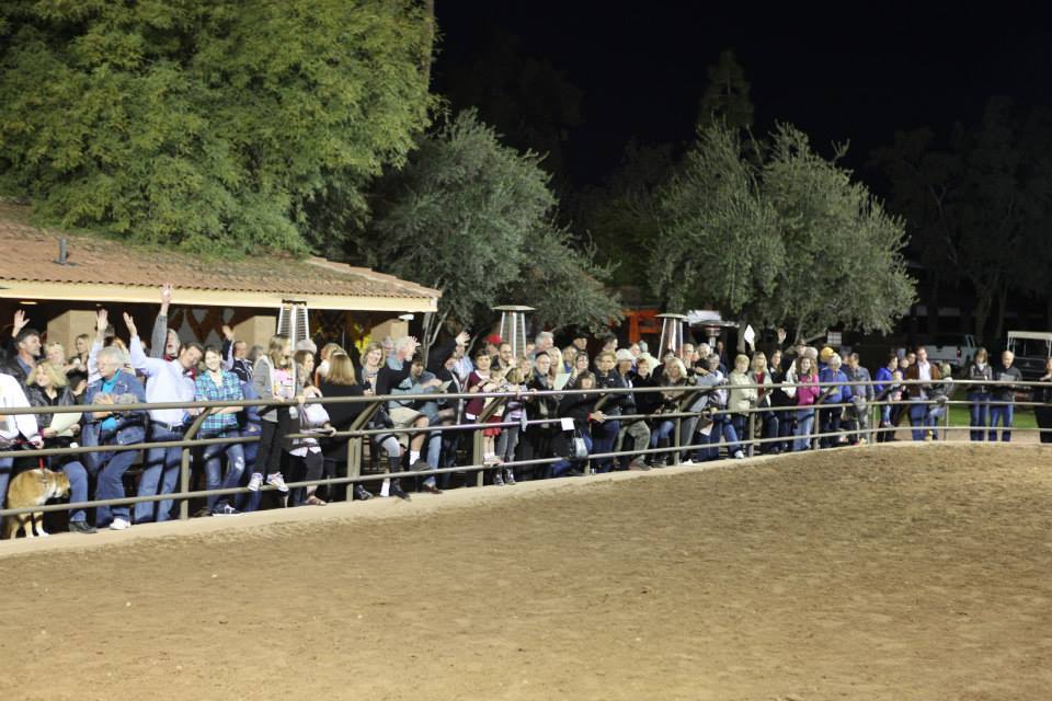 2013/2014 Arabhorse Farm Tours