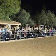 2013/2014 Arabhorse Farm Tours