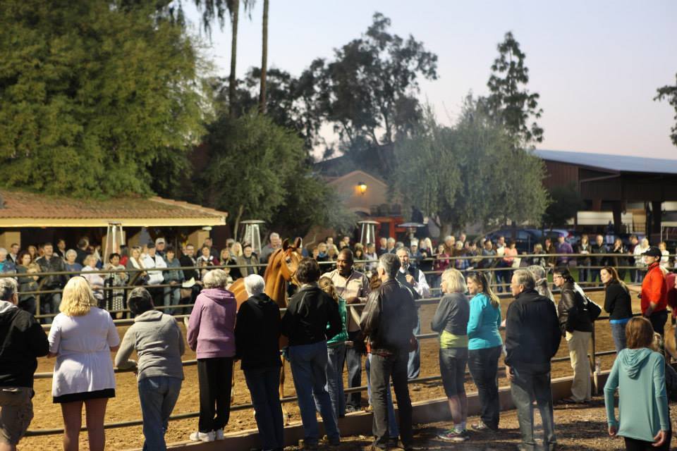 2013/2014 Arabhorse Farm Tours