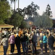 2013/2014 Arabhorse Farm Tours