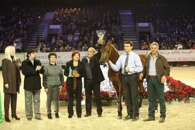 2010 Salon Du Cheval - World Championships Results