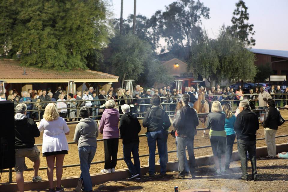 2013/2014 Arabhorse Farm Tours