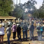 2013/2014 Arabhorse Farm Tours