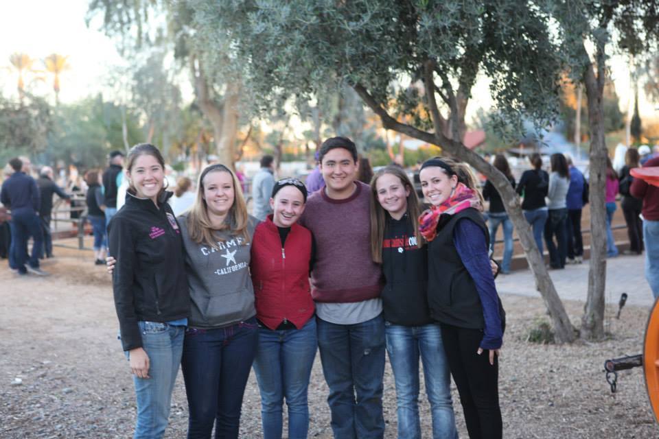 2013/2014 Arabhorse Farm Tours