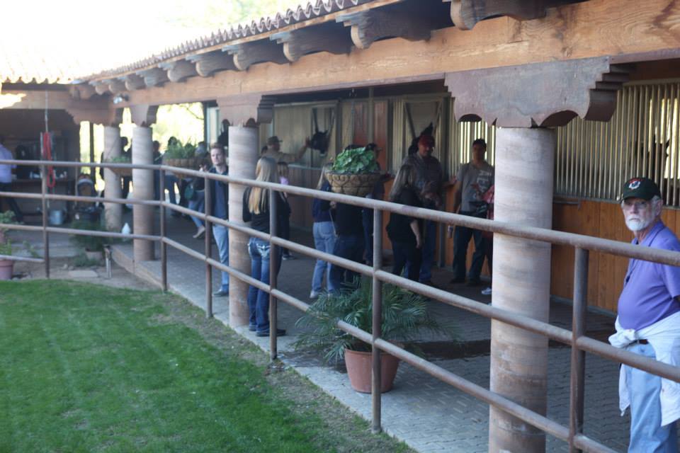 2013/2014 Arabhorse Farm Tours