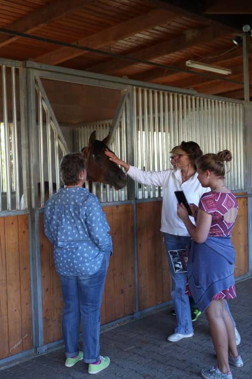 2013/2014 Arabhorse Farm Tours