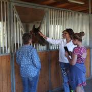 2013/2014 Arabhorse Farm Tours