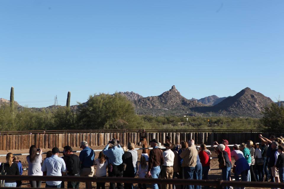 2013/2014 Arabhorse Farm Tours