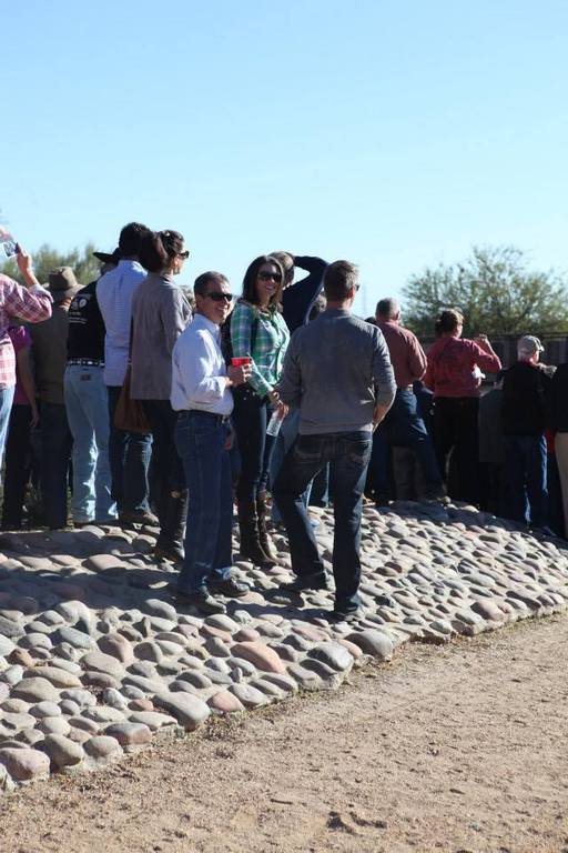 2013/2014 Arabhorse Farm Tours