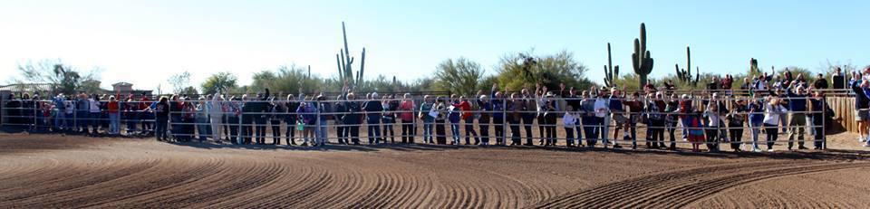 2013/2014 Arabhorse Farm Tours