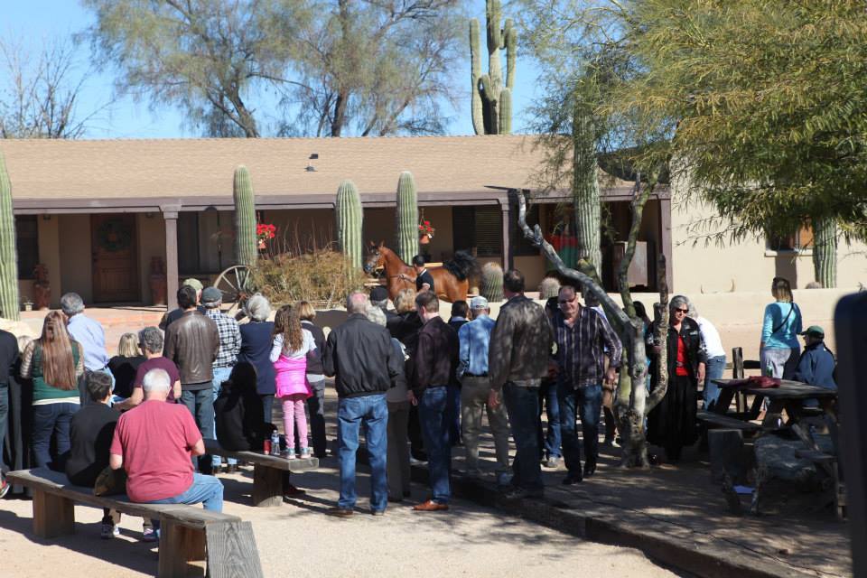 2013/2014 Arabhorse Farm Tours