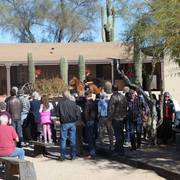 2013/2014 Arabhorse Farm Tours