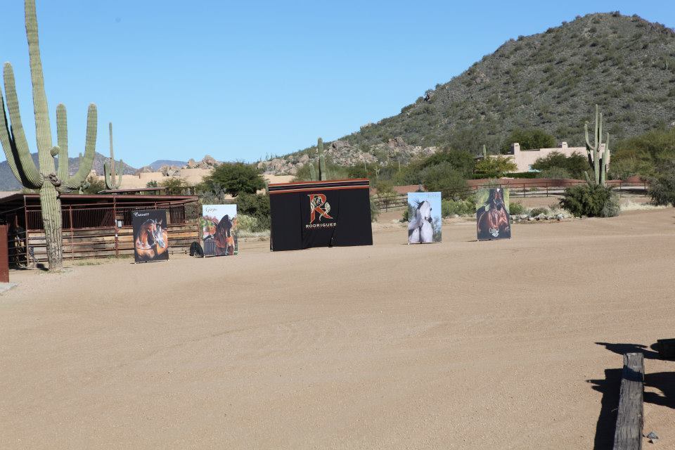 2013/2014 Arabhorse Farm Tours