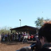 2013/2014 Arabhorse Farm Tours