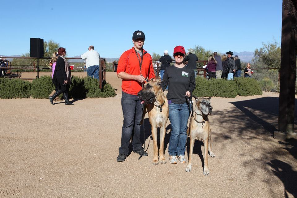 2013/2014 Arabhorse Farm Tours