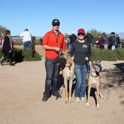 2013/2014 Arabhorse Farm Tours