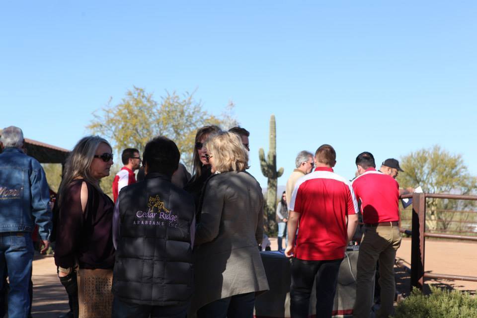 2013/2014 Arabhorse Farm Tours