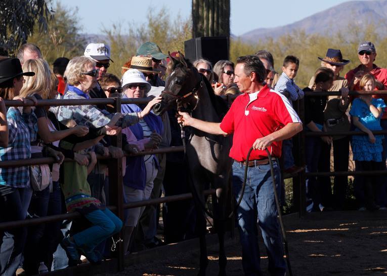 2013/2014 Arabhorse Farm Tours