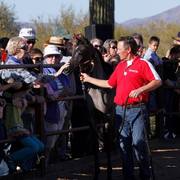 2013/2014 Arabhorse Farm Tours